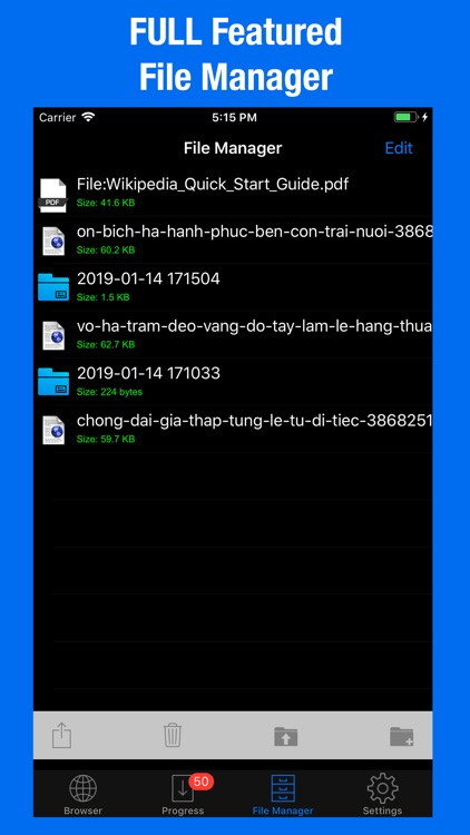 Offline Files - File Manager