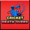 Cricket Death overs icon