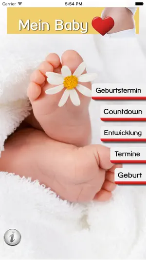Mein Baby - Ich bin schwanger screenshot 1
