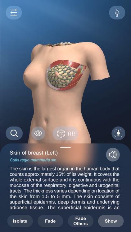 AR Anatomy