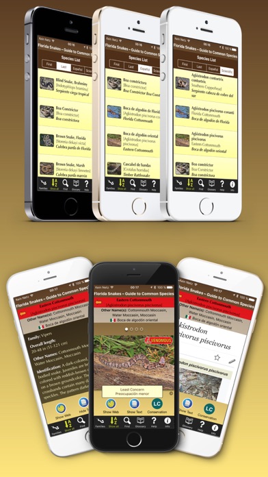 How to cancel & delete Florida Snakes – Guide to Common Species from iphone & ipad 3