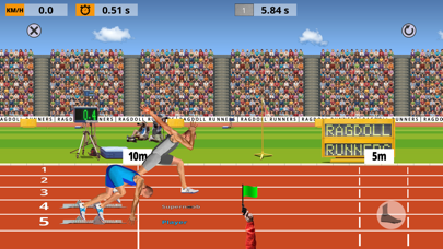 Ragdoll Runners screenshot 1