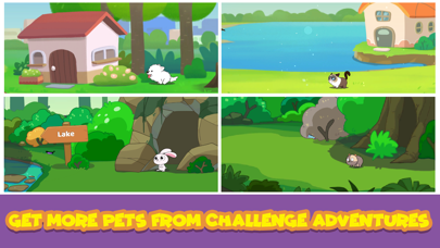 Pet House - Little Friends Screenshot