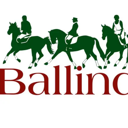 Ballindenisk Cheats