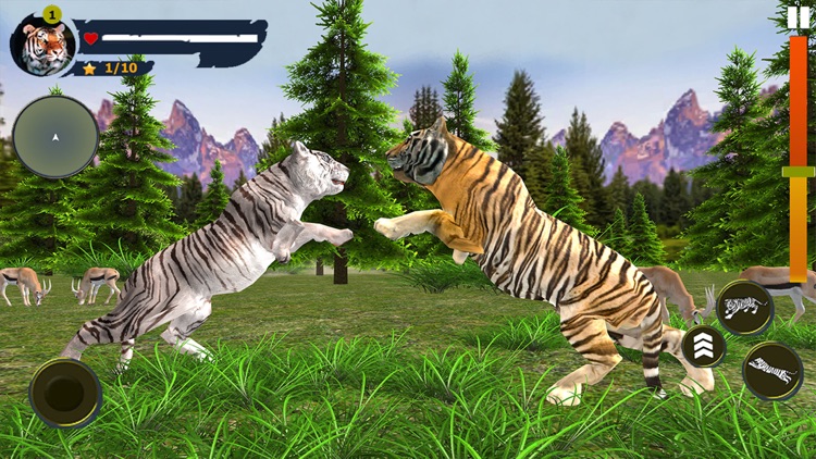 Wild Tiger Simulator