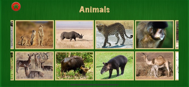 Animal World Pro For Fun(圖2)-速報App
