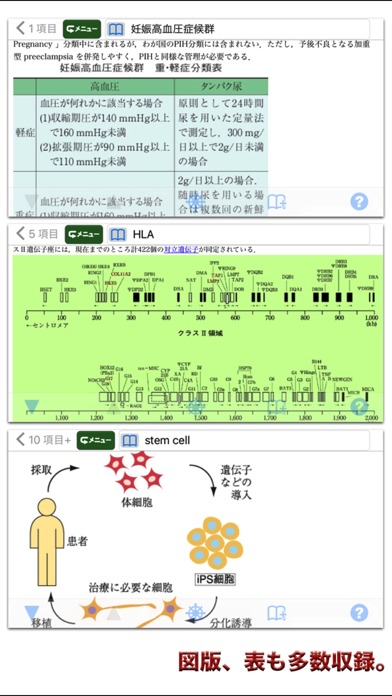 南山堂医学大辞典 第19版(ONESWING)のおすすめ画像4