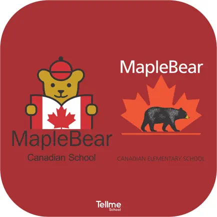 Maple Bear Santana Читы