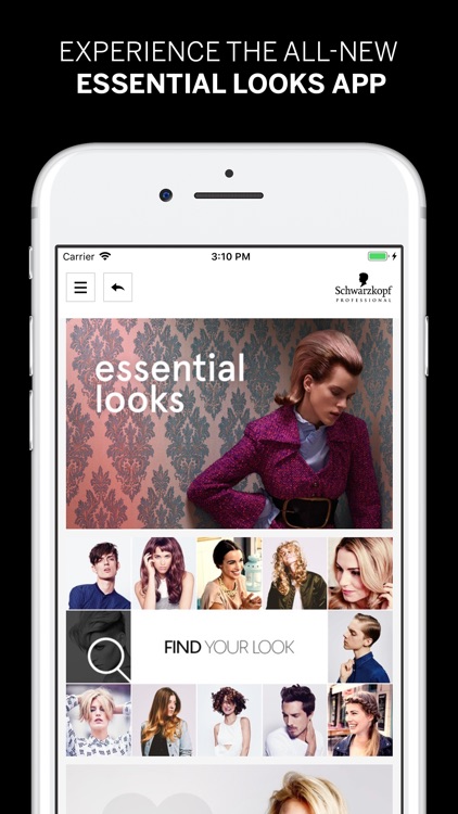 Essential Looks 2019:1