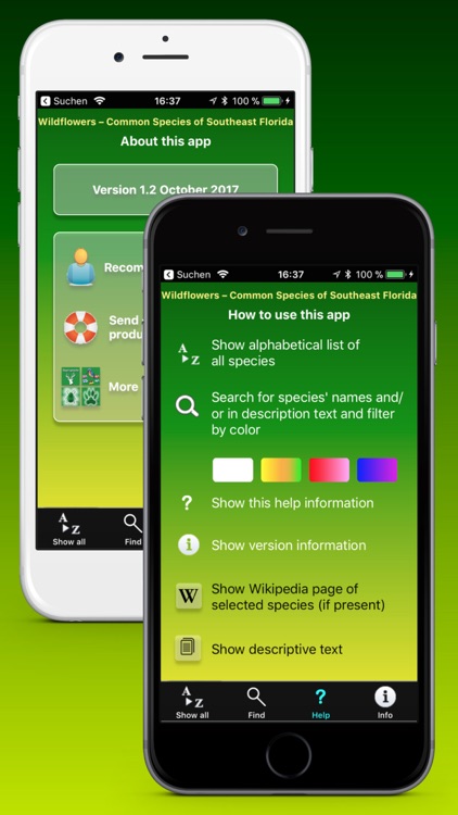 Southern Florida Wildflowers