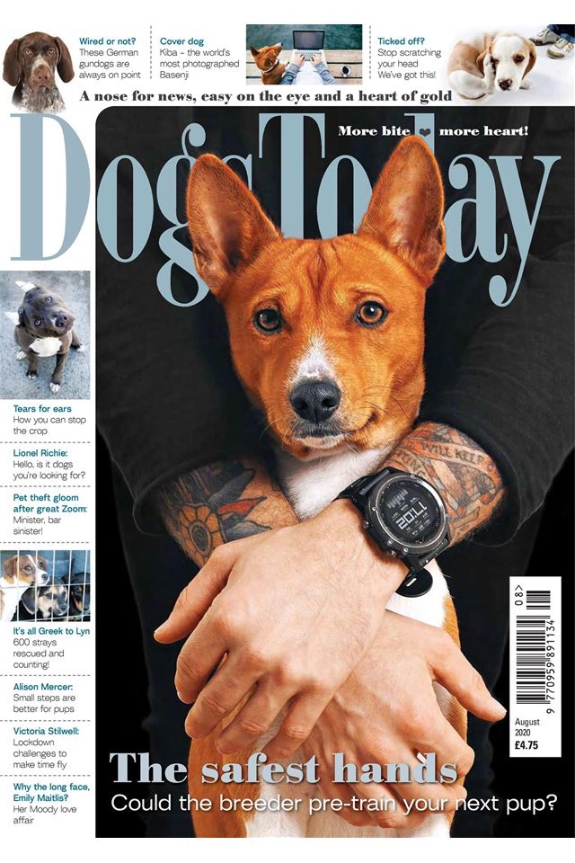 Dogs Today Magazine screenshot 3