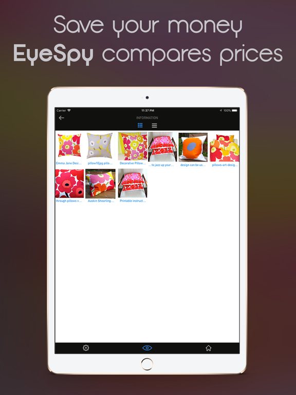 EyeSpy iPad screenshot