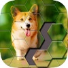 Block Hexa Jigsaw Puzzle - iPadアプリ