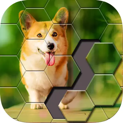 Block Hexa Jigsaw Puzzle Читы