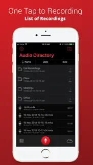 recorder plus : voice recorder iphone screenshot 1