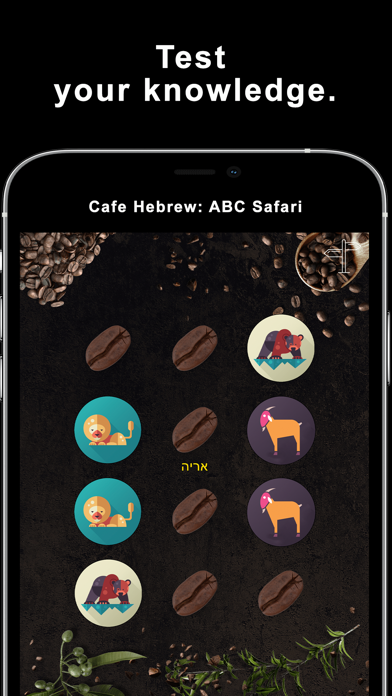 Cafe Hebrew: Safari Screenshot