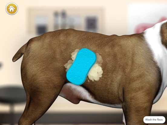 Dog Games: Pet Vet Doctor Care iPad app afbeelding 2