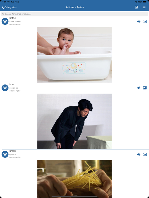 English Picture Dictionary New iPad screenshot 8 - Travel app