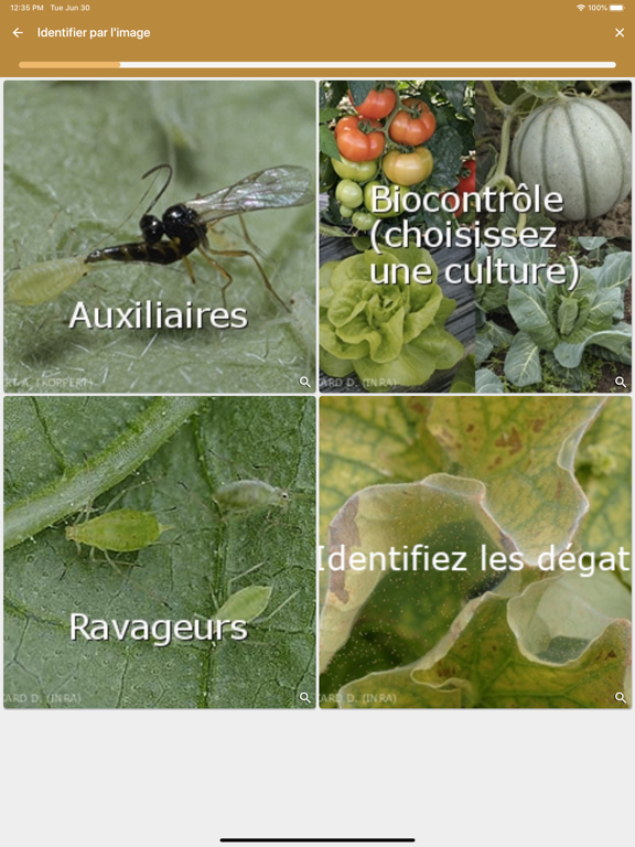 Screenshot #6 pour VigiHorti