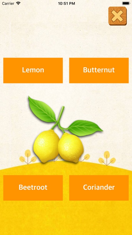 Vegetable Learning Assistant screenshot-4