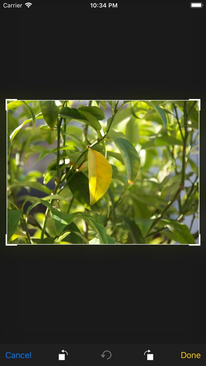 eSMS-S Reporter screenshot-4