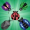 Explore the insects appearing in the garden in Wild mode, or allow your child to drag them  into the world in Drop mode