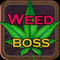 Weed Boss - Ganja Tycoon Idle