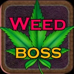 Download Weed Boss - Ganja Tycoon Idle app