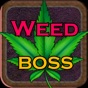 Weed Boss - Ganja Tycoon Idle app download