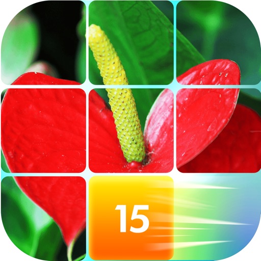 Flowers Slide Puzzle - AppWisp.com