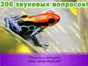 Животные для детей и малышей 2 айпад изображения 4