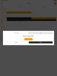 Yatzy Score Sheets ipad bilder 2