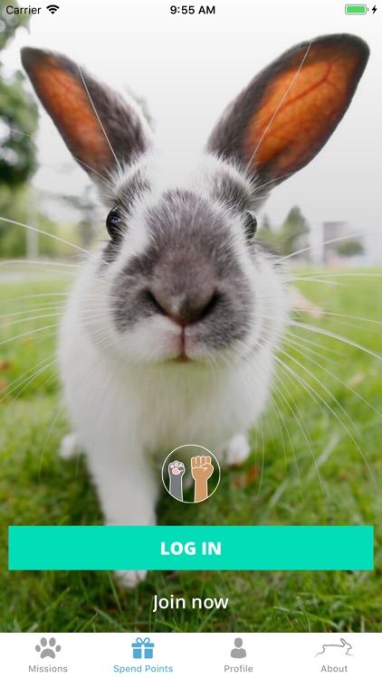 PETA Points: Save Animals