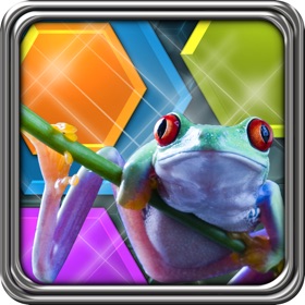 Screenshots (7) HexLogic - Zoo