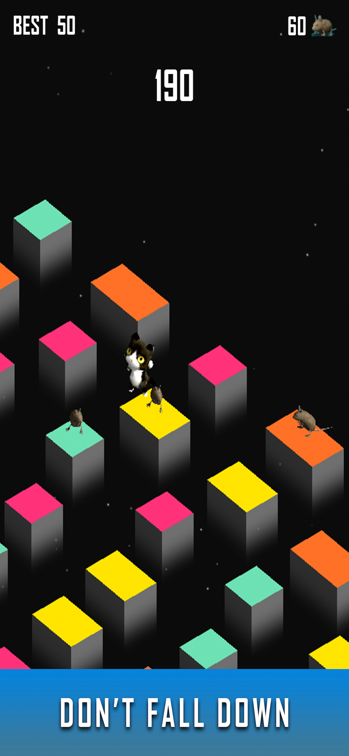 Zara Cat - New Games 2021 screenshot 5