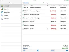 Accounts 2 Checkbook iPad image 3