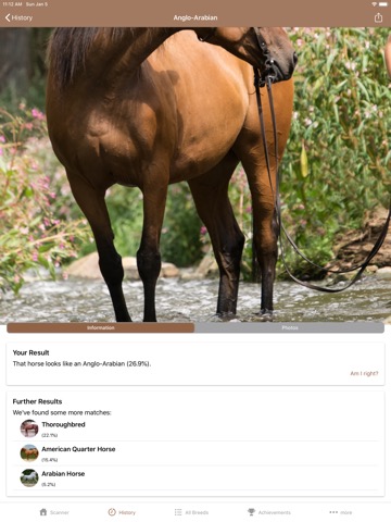 Horse Scannerのおすすめ画像3