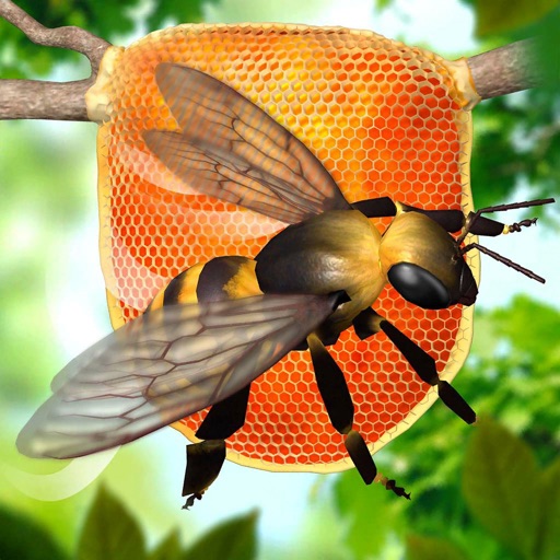 Bee Factory 3D iOS App