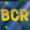 BCR Explore The Ocean is  an endless game
