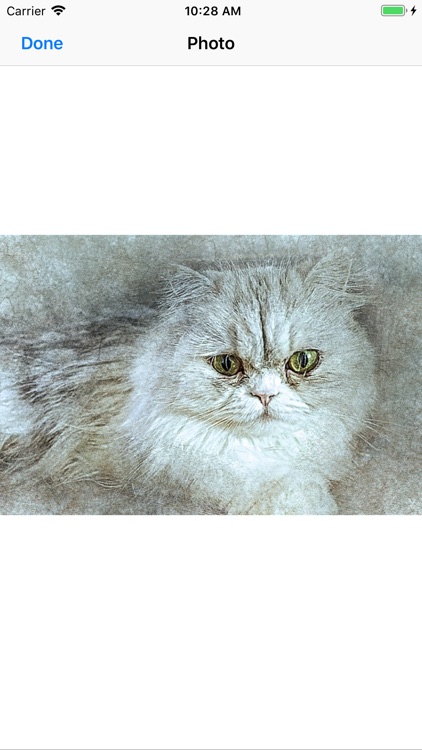Cat Portraits screenshot-7