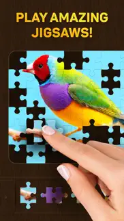 jigsaw puzzles for you problems & solutions and troubleshooting guide - 4