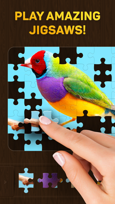 Jigsaw Puzzles for You Screenshot