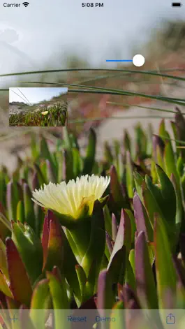 Game screenshot Brighten Me Pro mod apk