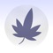 Ever find yourself in a new city wondering where the dispensaries are