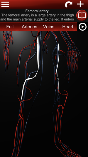 Circulatory System 3D Anatomy(圖3)-速報App