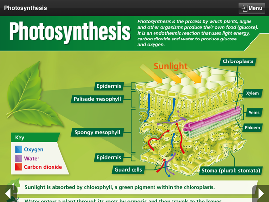 Screenshot #6 pour Biology GCSE