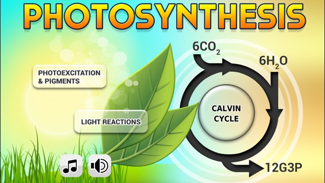 FCS Biology Photosynthesis Pro(圖1)-速報App
