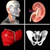 Anatomy Quiz Pro icon