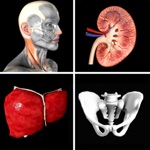 Download Anatomy Quiz Pro app