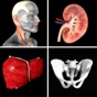 Anatomy Quiz Pro app download